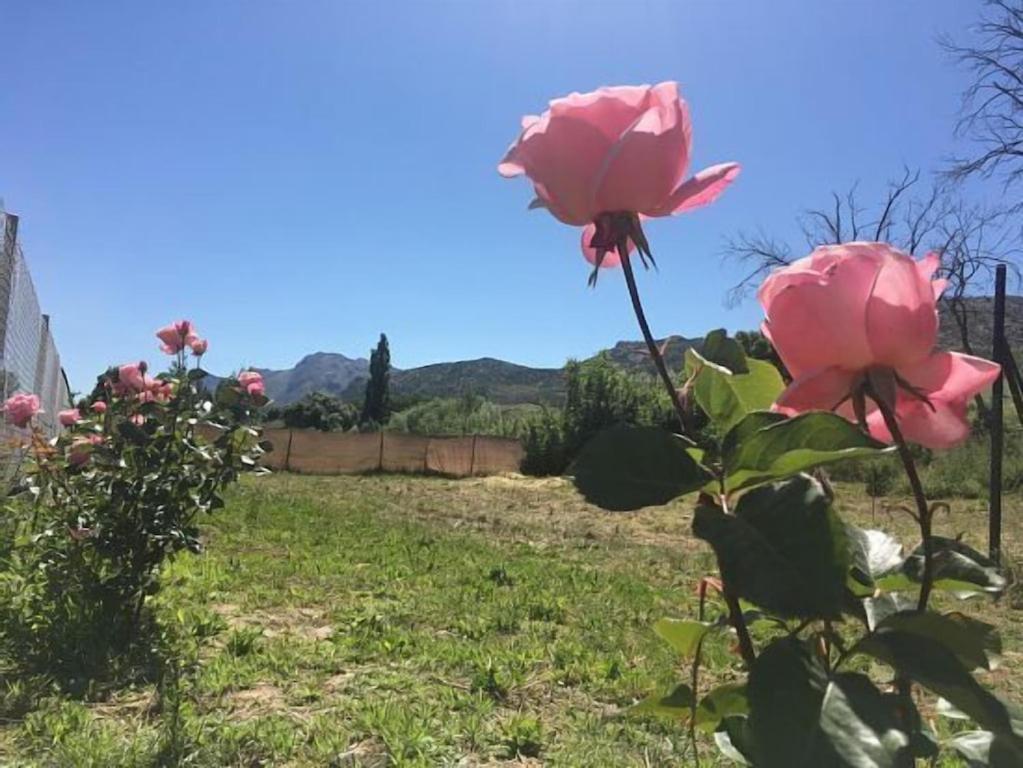 Casa Rural La Maestra Ронда Екстериор снимка